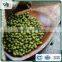 Machine Dressed Green Mung Bean