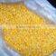 IQF Chinese fresh high quality frozen sweet corn