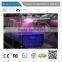 Low Pressure Automatic Poultry House Hatchery Equipment Spraying Vaccination Hatchery Vaccination Equipment