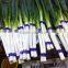 fresh green onions