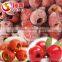 In order to healthy select organic health quick-frozen hawthorn berry fresh fruit