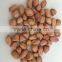 2016 new crop java peanuts/baisha