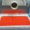 Micro-production Softgel Encapsulation Line of S403