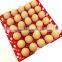 PLASTIC RED EGG TRAY- LARGE FOR 30 EGGS