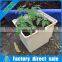 Dutch bucket hydroponics photo for tomato greenhosue
