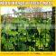 plastic garden mesh/netting