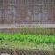 Natural Willow Fence/Willow Screenning