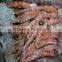 High quality frozen food distributors,paid samples available