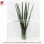 Manufacturing maguey garden decoration indoor decoration handmade plant for sale