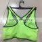 OEM Seamless Underwear Women Sport Yoga Bra