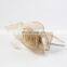2016 Boutique Party Bridal Women Headband Fascinator With Feather