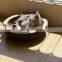 Hot Sale Funny Corrugated Cat Cardboard Scratcher Indoor Cat Nest