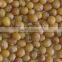 Organic yellow mung bean
