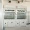 China manufacturers Customized Laboratory medical fume extractor lab test equipment fumehood