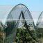 Greenhouse Structure Pole Ancher stake in horn shape