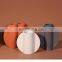 ins Nordic style creative ceramic decorative vase ornaments