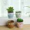 Succulent flowerpot green plant flower pot hand-painted creative ceramic mini potted micro-landscape