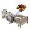 Industrial Vegetable Cleaner Fruit And Vegetable Washing And Drying Machine