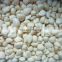 Sinocharm New Crop BRC Approved High Quality  IQF Whole Peeled Frozen Garlic