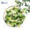 HACCP KOSHER HALAL BRC Quality New season Frozen Vegetables IQF Broccoli Cuts