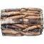 sea frozen todarodes pacificus squid japan squid good price