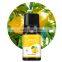 High Quality Essential Oils Manufacturers 100% Organic Pure Private Label 10ml Rosemary Lemongrass Peppermint Essential Oil