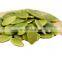 raw hot sale wholesale pumpkin  seeds in shell or  diced pumpkin seed