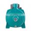 Cast Iron Twin-Impeller 750w 1 inch Self Priming Centrifugal Water Pump