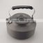 1.2L mini fast boil kettle with bag portable design