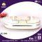 Double Bowl Food Storage Container With Two Handle