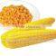 Canned Sweet Corn ,Yellow Corn,184G 340G 400G 425G 2500G 2840G A9 A10