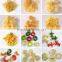 Fried Pellet Chips Pasta Plant processing line