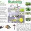 supply sujineng grape and tomato Tape tool-tapener