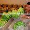 Cold room storage for vegetables