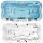 8 Persons Swimming Pool Hot Tub Combo/outdoor SPA Bathtub 3850X2105X950mm