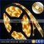factory price transparent waterproof 4000k led strip 5050 light