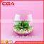 Manufacturers simulation tree plants indoor plants wholesale home decoration glass Decoration