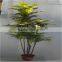 artificial plant Cedrela tree