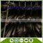 stainless steel square tube 100x100 pipe square price