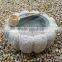 Japanese Garden Stone Water Bowls