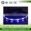 QQ Pet Product Manufacturer Wholesale Pet Collar Flashing Led Lighted Dog Leash