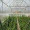 2015 China Hot Sale UV Resistant Agricultural Greenhouse Plastic Film