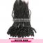 One donor unprocessed 100% virgin brazilian human hair, top kinly curly human hair braid in bundles