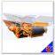 China manufacturer belt conveyor with 30 years experience