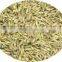 Cumin Seed Indian Origin
