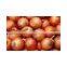 Round yellow onions