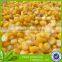vaccum pack canned sweet corn