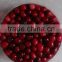 ISO Certified Factory Bulk-supply Cranberry Extract Powder with Anti-oxidant (PAC)Proanthocynidins 5--60%, Anthocyanidins 5-25%