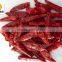 New crop dry red whole chilli exporter