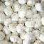 China Pure White /Snow White/Super White Garlic 2016'